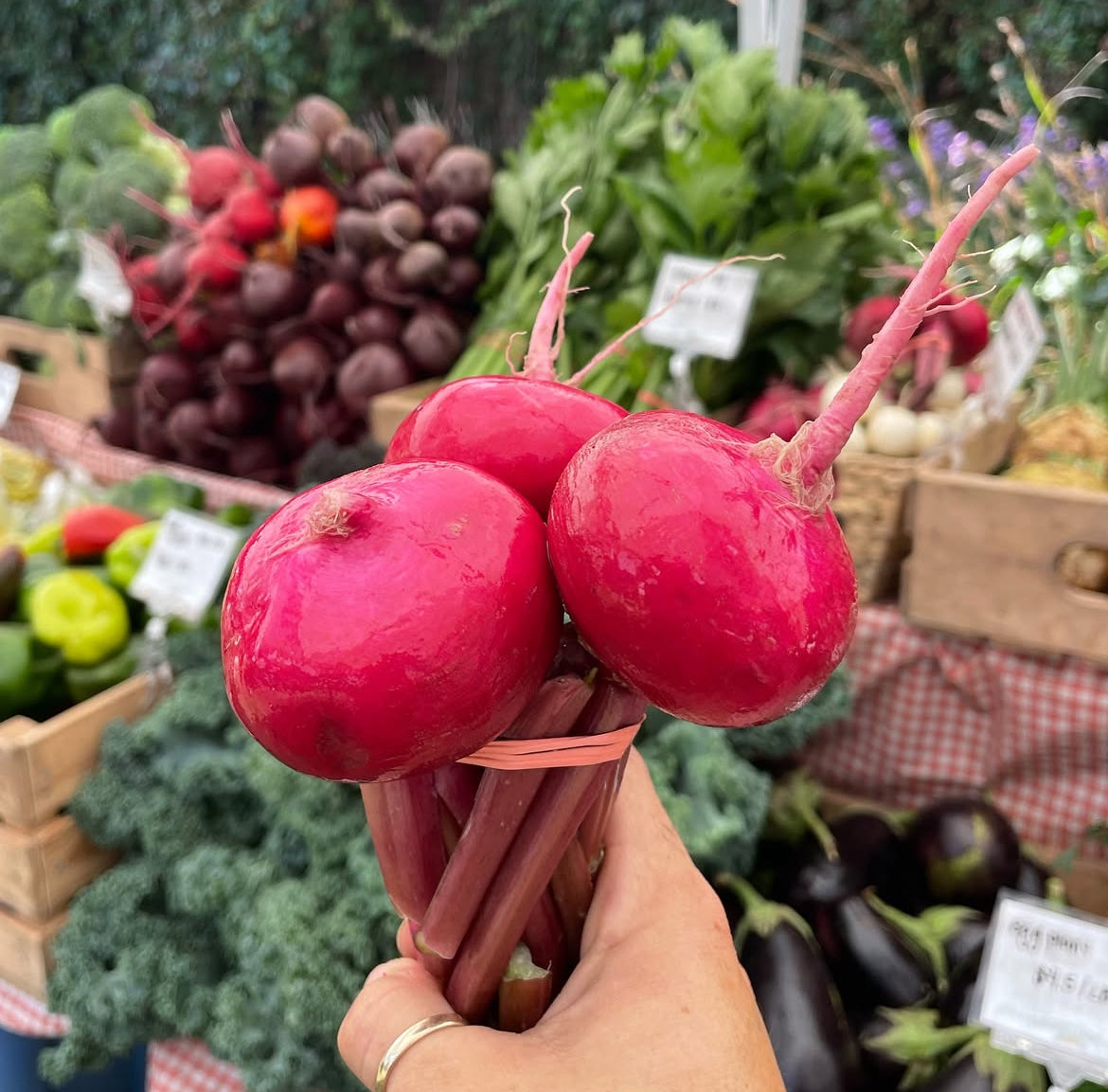 Turnips, sweet pink 1 LB