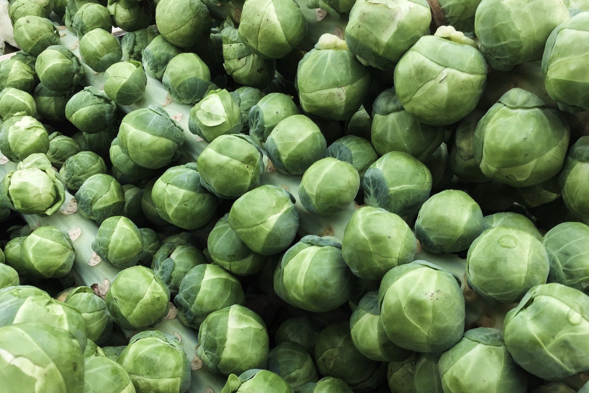 Brussel Sprouts , 1 stalk