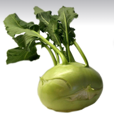 Kohlrabi, Green