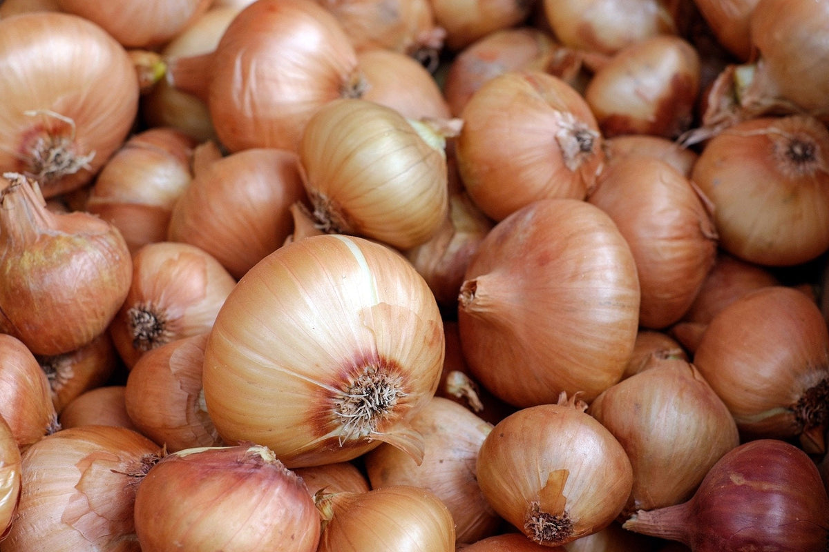 Onions, Yellow