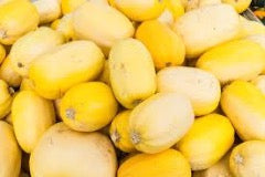 Winter squash, spaghetti